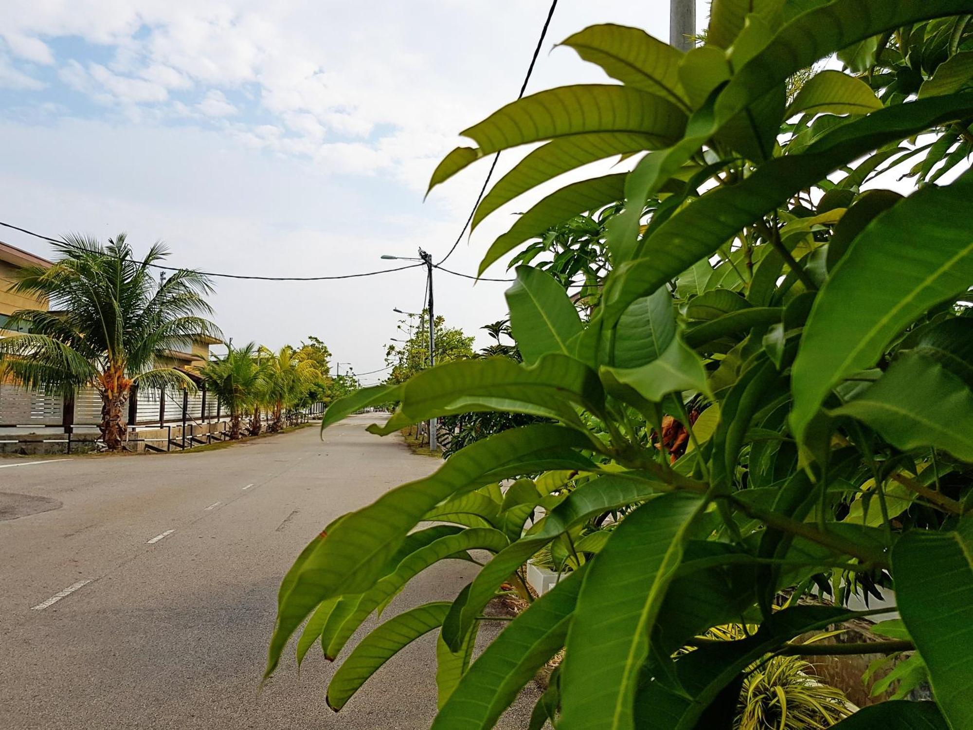 Siantan In Paya Rumput Near Std Hang Jebat, Sg Udang & Uitm Lendu Malacca Kültér fotó
